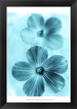 Framed Forget Me Not Blue I Print