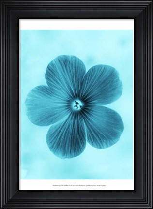 Framed Forget Me Not Blue II Print