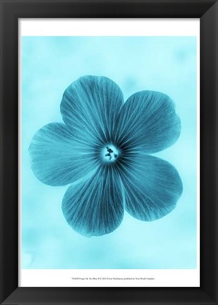 Framed Forget Me Not Blue II Print