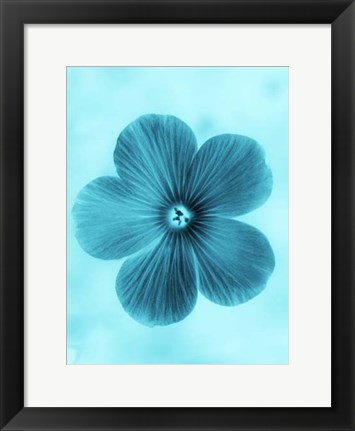 Framed Forget Me Not Blue II Print