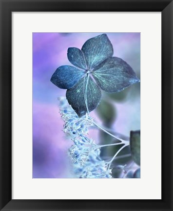 Framed Dainty I Print