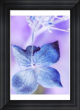 Framed Dainty II Print