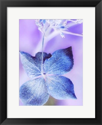 Framed Dainty II Print