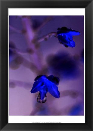 Framed Morning Rain I Print