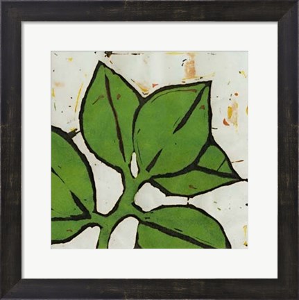 Framed Planta Green III Print