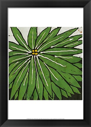 Framed Planta Green VIII Print