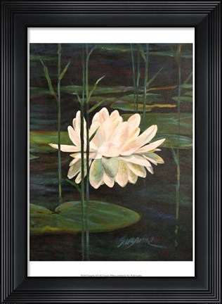 Framed Tranquility II Print