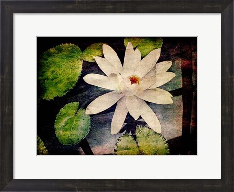 Framed Lily Ponds III Print