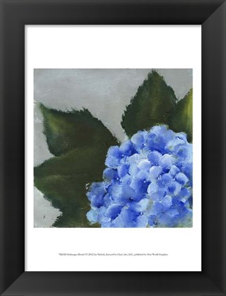 Framed Hydrangea Detail I Print