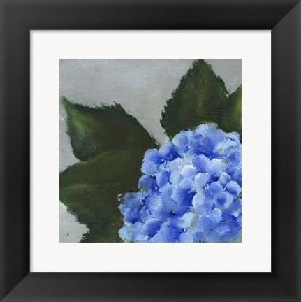 Framed Hydrangea Detail I Print