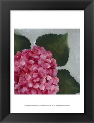 Framed Hydrangea Detail II Print