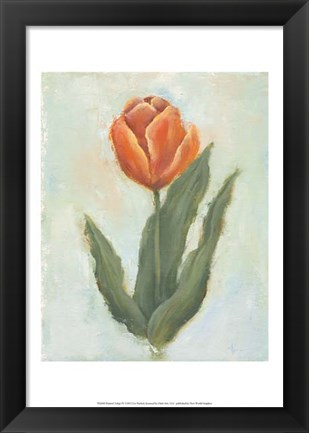 Framed Painted Tulips IV Print