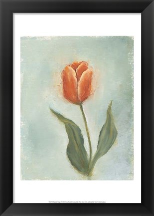 Framed Painted Tulips V Print