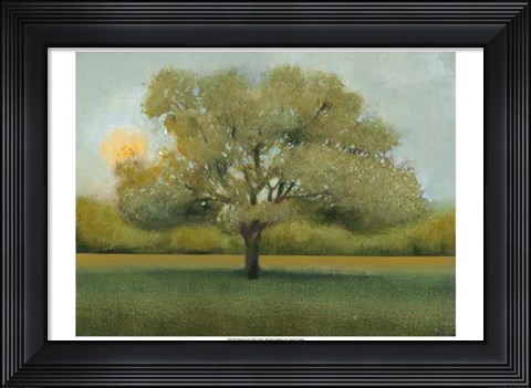 Framed Sunrise II Print