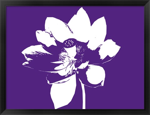 Framed Lilly on Purple Print