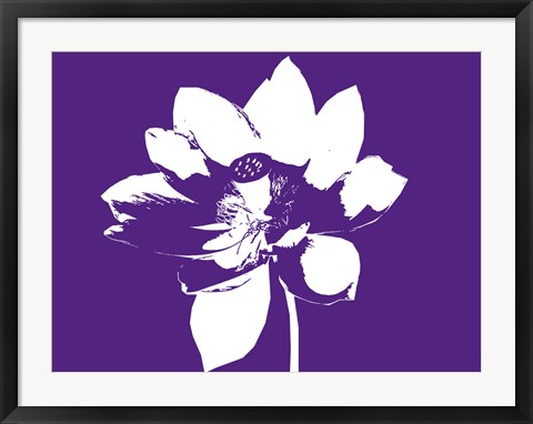 Framed Lilly on Purple Print