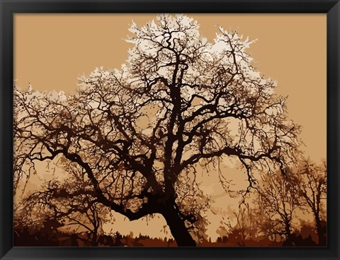 Framed Oak Tree on Tope Print