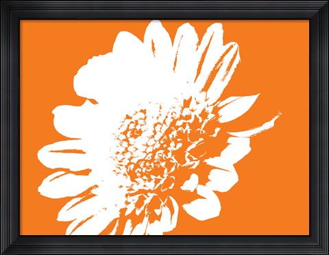 Framed Orange Mum Print