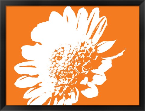 Framed Orange Mum Print