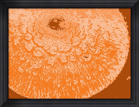 Framed Orange Abstract Print