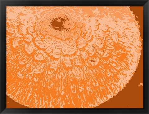 Framed Orange Abstract Print