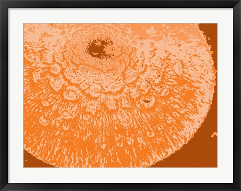 Framed Orange Abstract Print