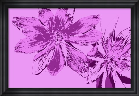 Framed Pink Anemone Print