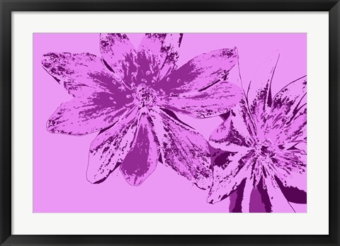 Framed Pink Anemone Print