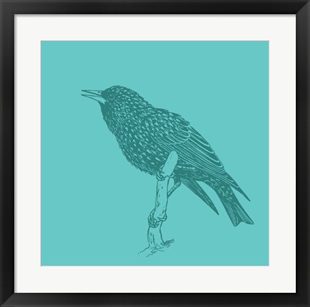 Framed Starling Print