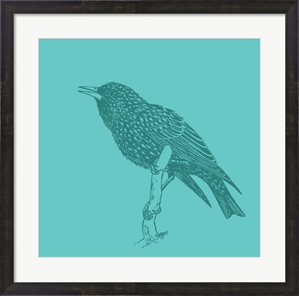 Framed Starling Print