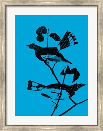 Framed Starlings Print