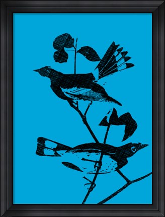 Framed Starlings Print
