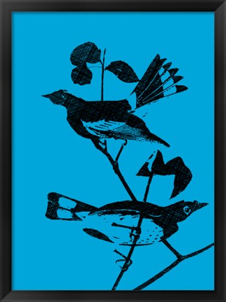 Framed Starlings Print