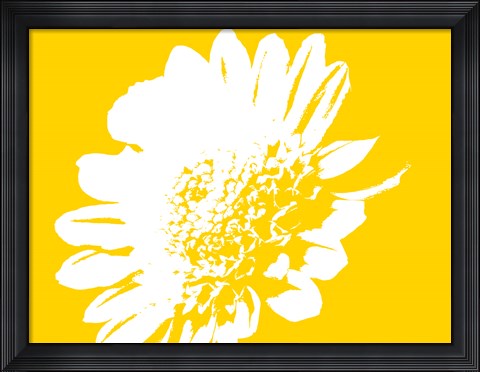 Framed Yellow Mum Print