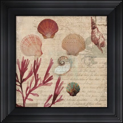 Framed Coral II Print