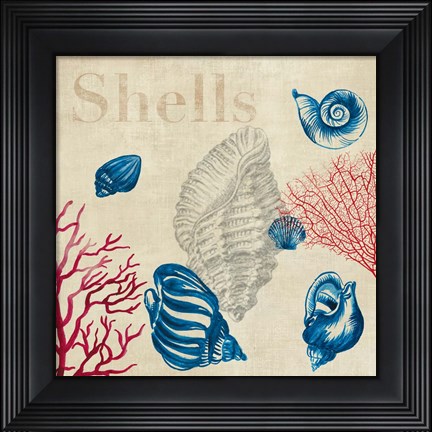 Framed Shell Study Print