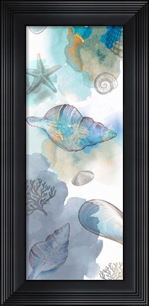 Framed Shell Reflections II Print