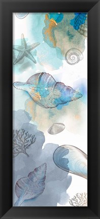 Framed Shell Reflections II Print