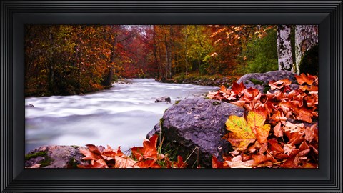 Framed Autumn Flow Print