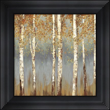 Framed Falling Embers II Print