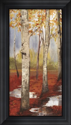 Framed Passage II Print