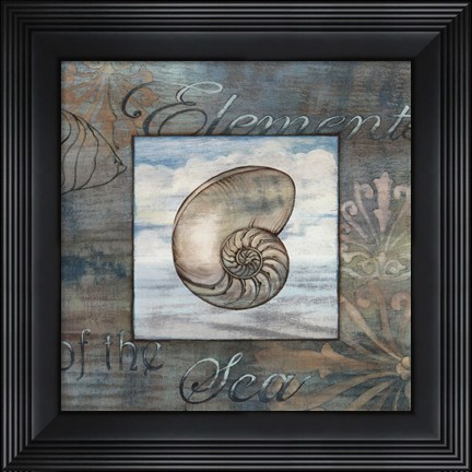 Framed Elements of the Sea IV Print