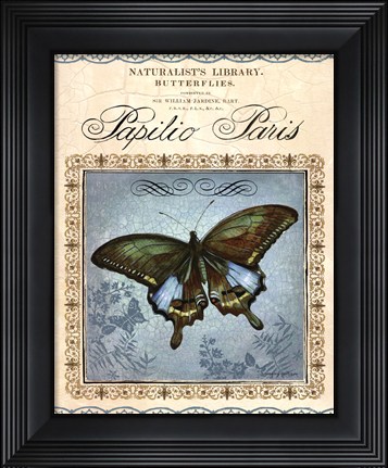 Framed Papilio Paris Print