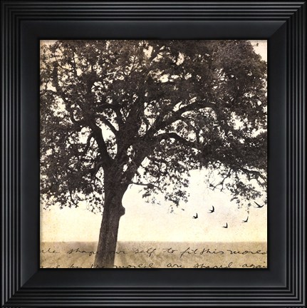 Framed Under the Trees I Print