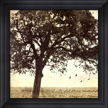 Framed Under the Trees I Print