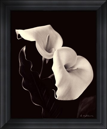 Framed Botanical Elegance Calla IV Print