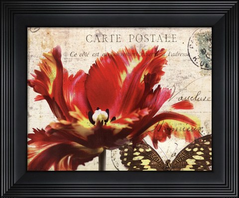 Framed Carte Postale Tulip I Print