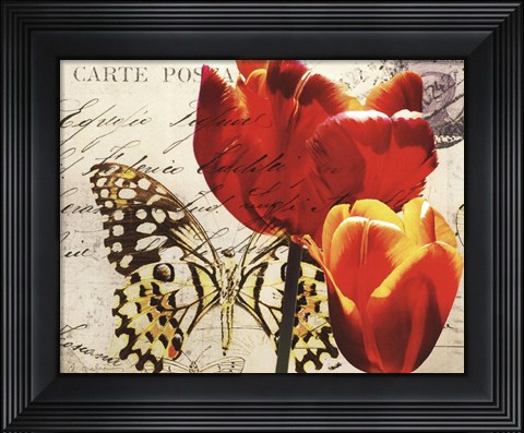 Framed Carte Postale Tulip II Print