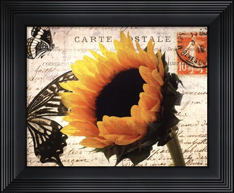 Framed Carte Postale Sunflower Print