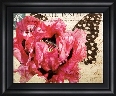 Framed Carte Postale Poppy Print